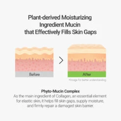 Rovectin Calming Lotus Sun Cream Spf 50 Pa -Wishtrend Comestics Store 07 eebb769a 9d84 4f02 be9e c4e4119ca3cc