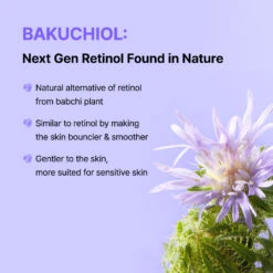 Vitamin A Mazing Bakuchiol Night Cream 2 -Wishtrend Comestics Store 3 cc78e873 40c7 424f b450 9ba19669361c