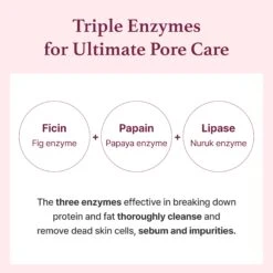 Fig Enzyme Powder Cleanser -Wishtrend Comestics Store FigEnzymePowderCleanser thumbnail 03