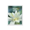 Lotus Water Calming Sheet Mask