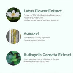 Lotus Water Calming Sheet Mask -Wishtrend Comestics Store Lotus Water Calming Sheet Mask thumbnail 03 info 3