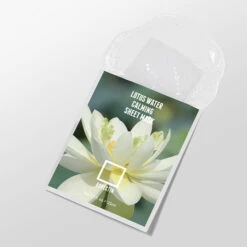 Lotus Water Calming Sheet Mask -Wishtrend Comestics Store Lotus Water Calming Sheet Mask thumbnail 04 concept 2
