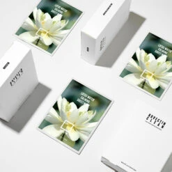 Lotus Water Calming Sheet Mask -Wishtrend Comestics Store Lotus Water Calming Sheet Mask thumbnail 04 concept 5