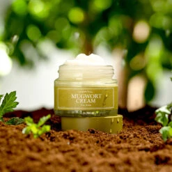 Mugwort Calming Set -Wishtrend Comestics Store Mugwort Calming Set thumbnail 04 concept6