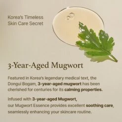 Mugwort Essence 30ml -Wishtrend Comestics Store MugwortEssence thumbnail 04 2