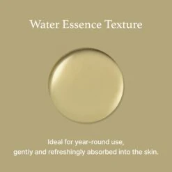 Mugwort Essence 30ml -Wishtrend Comestics Store MugwortEssence thumbnail 05 2