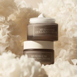 Mushroom Collagen Cream -Wishtrend Comestics Store Mushroom Collagen Cream thumbnail 04 concept 1