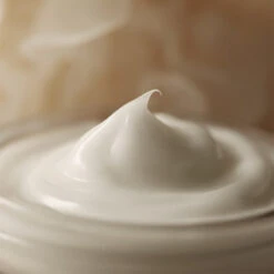 Mushroom Collagen Cream -Wishtrend Comestics Store Mushroom Collagen Cream thumbnail 04 concept 3