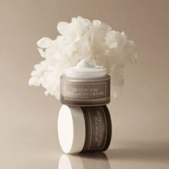 Mushroom Collagen Cream -Wishtrend Comestics Store Mushroom Collagen Cream thumbnail 04 concept 4