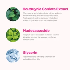 Cica Care Purifying Toner -Wishtrend Comestics Store PT260 3