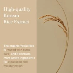 Rice Mask -Wishtrend Comestics Store Rice Mask thumbnail 04 1