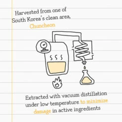 3 Day Vita Dark Spot Serum -Wishtrend Comestics Store Vita Dark Spot Serum thumbnail 03 info6