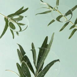 Vitamin Tree Sheet Mask -Wishtrend Comestics Store Vitamin Tree Sheet Mask thumbnail 04 concept4