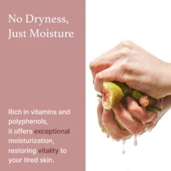 Fig Cleansing Balm -Wishtrend Comestics Store fig thumbnail balm07