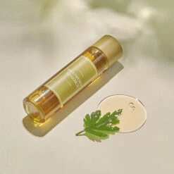 Mugwort Essence 30ml X 6ea -Wishtrend Comestics Store imfrom mugwort essence thumbnail 04 concept3