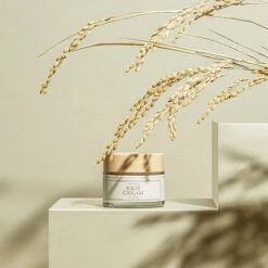 Rice Simple Set 1 -Wishtrend Comestics Store rice cream thumbnail 04 concept2